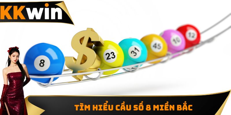 Tìm hiểu cầu số 8 miền Bắc